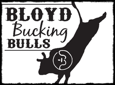 Bloyd Bucking Bulls Logo